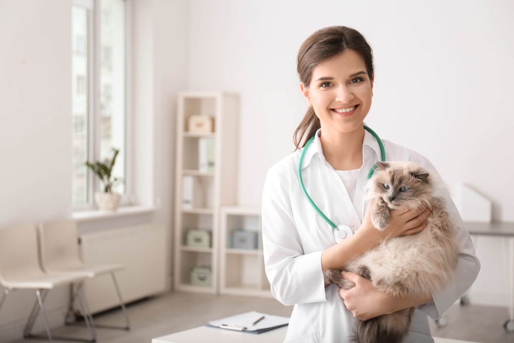 Veterinarian with a cat